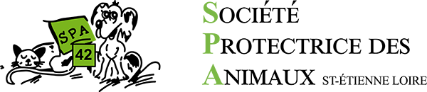 Logo SPA42