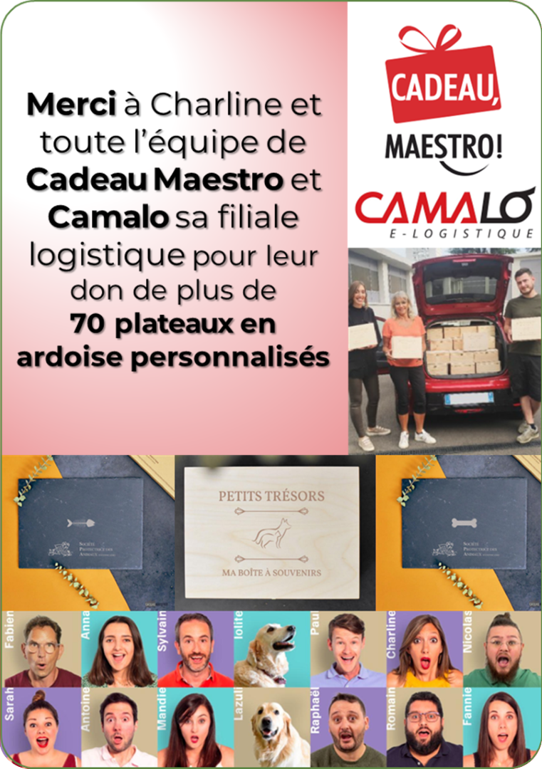 CadoMaestro – Camalo