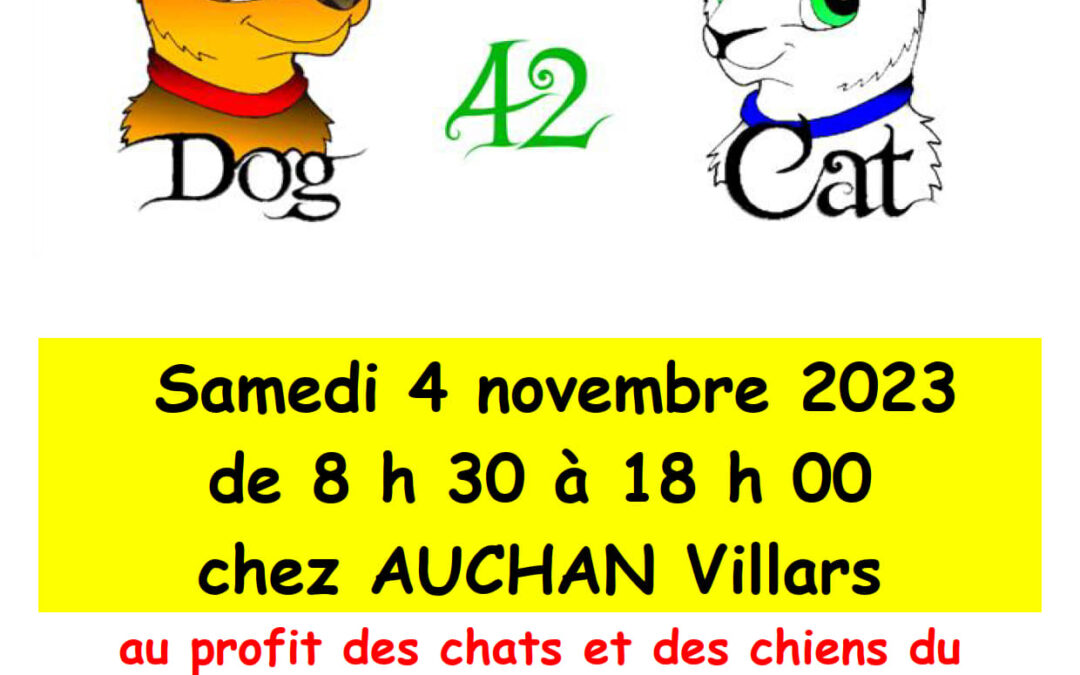 Collecte Auchan Villars – samedi 4 novembre 2023