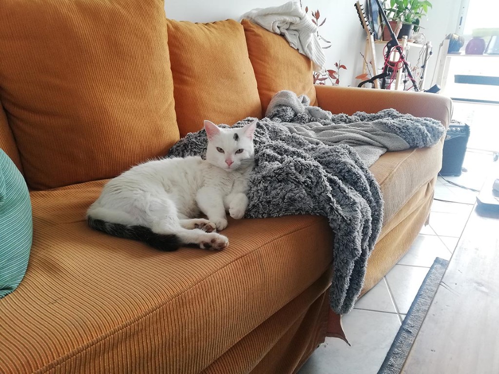 Tzaras et Tapas – Image 4