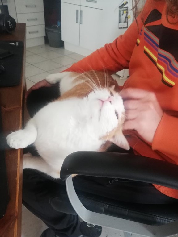 Tzaras et Tapas – Image 2