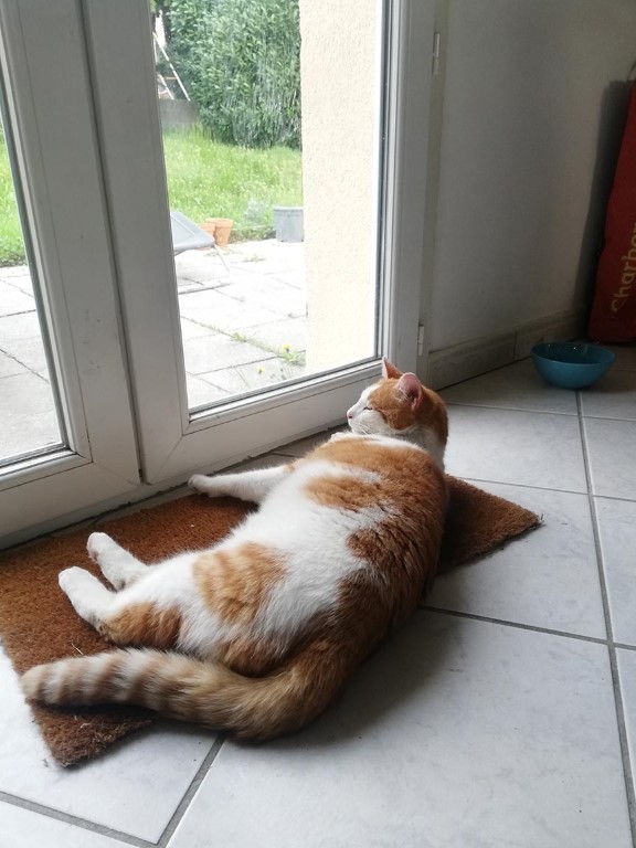 Tzaras et Tapas – Image 6