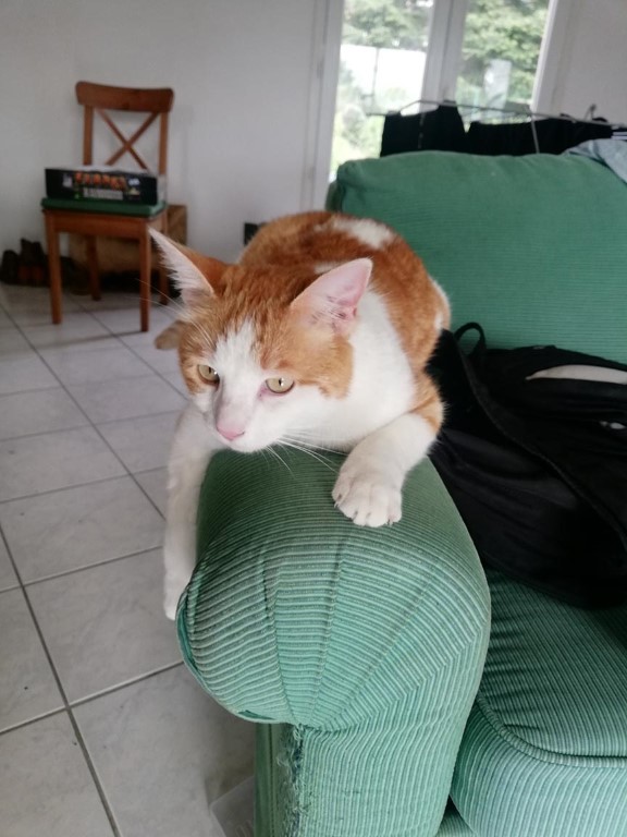 Tzaras et Tapas – Image 5