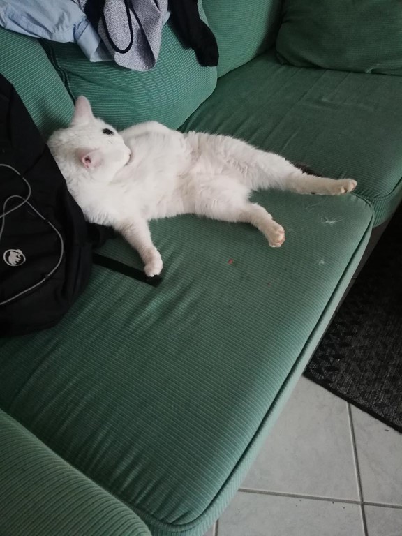 Tzaras et Tapas – Image 3