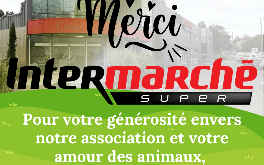 Intermarché Roche‑la‑Molière : un caddie solidaire pour la SPA de Saint‑Étienne Loire