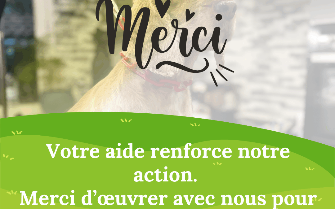 Cani Happy toilettage