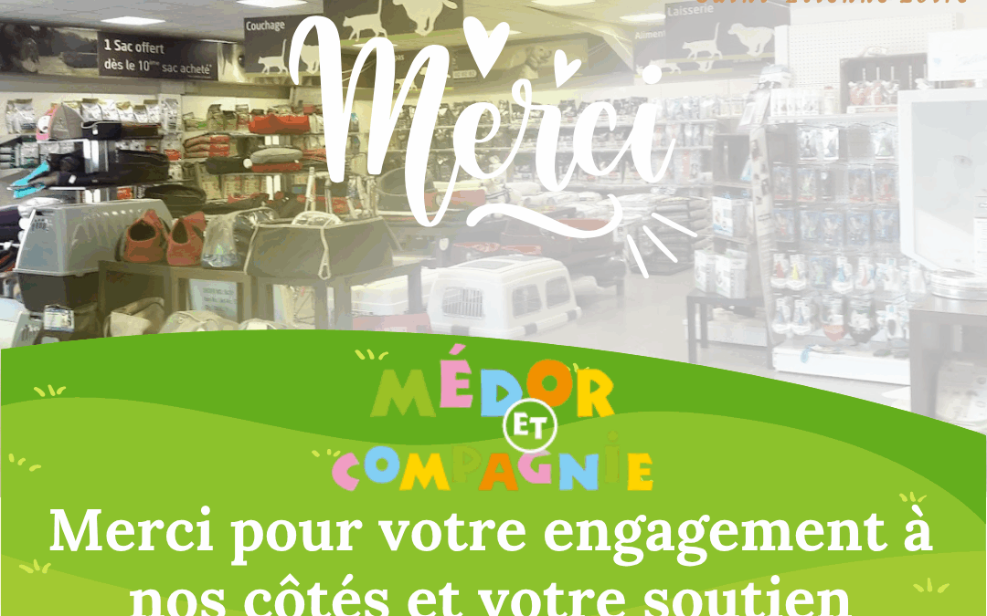 Médor et Compagnie : un partenaire fidèle pour le bien-être de nos chats