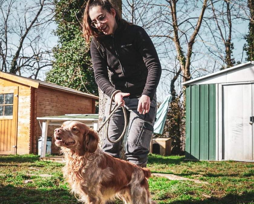 🐕‍🦺 Une journée type d’animalier à la SPA Saint-Étienne Loire