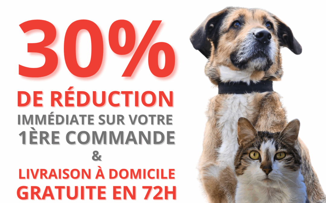 🤝 Partenariat SPA Saint-Étienne Loire × Royal canin
