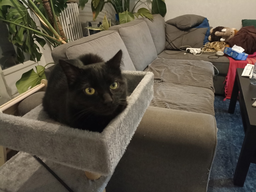 Lucifer dit Lulu â Image 6