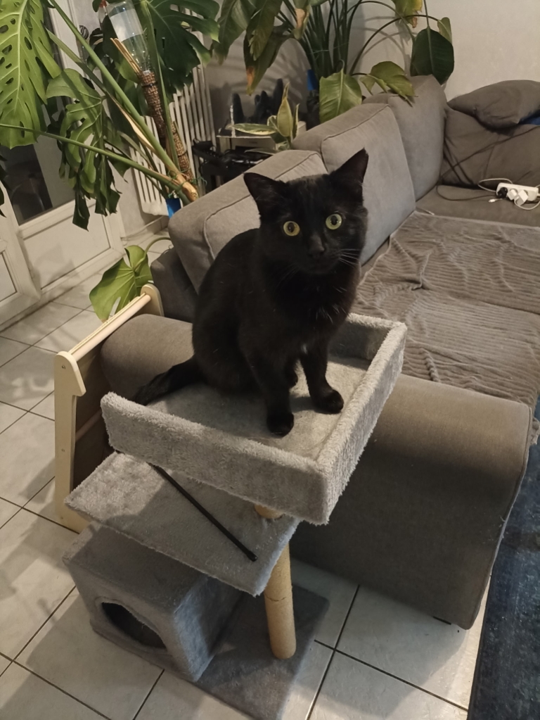 Lucifer dit Lulu â Image 8