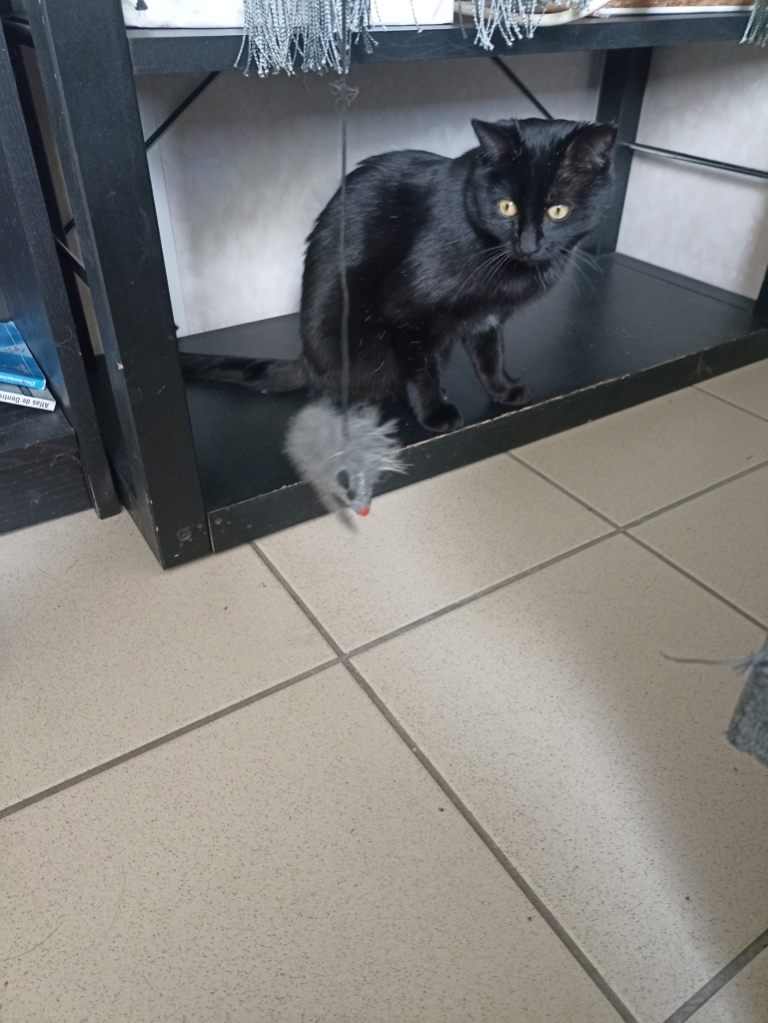 Lucifer dit Lulu â Image 7