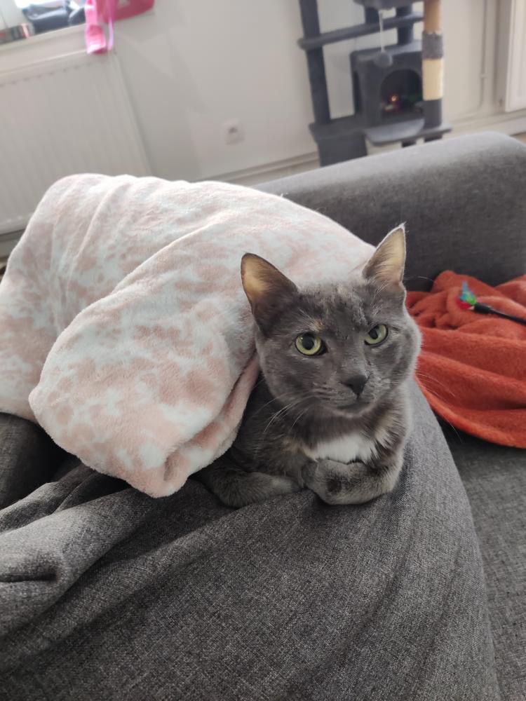 Nana et Dumba – Image 2