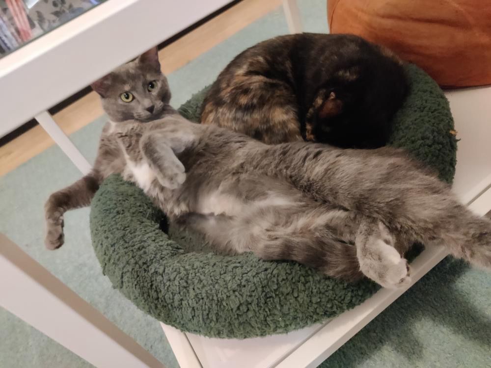 Nana et Dumba – Image 4