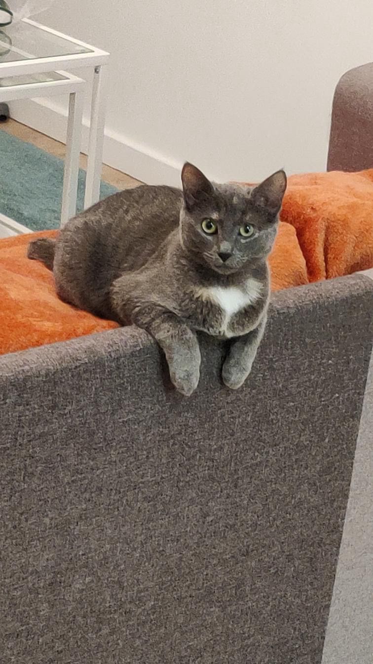 Nana et Dumba – Image 6