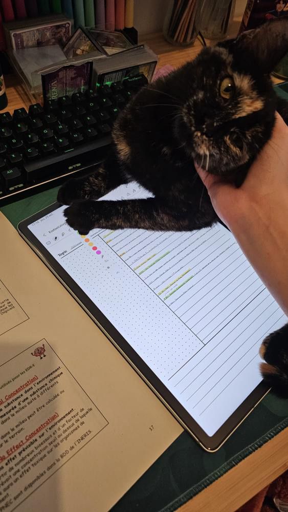 Nana et Dumba – Image 7