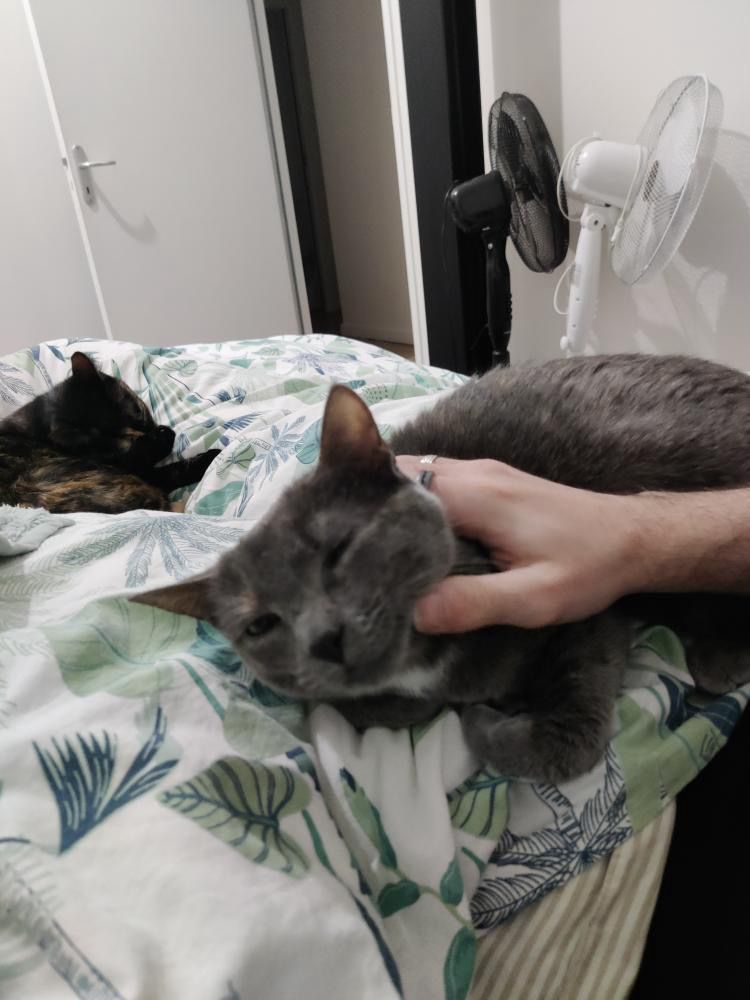 Nana et Dumba – Image 8