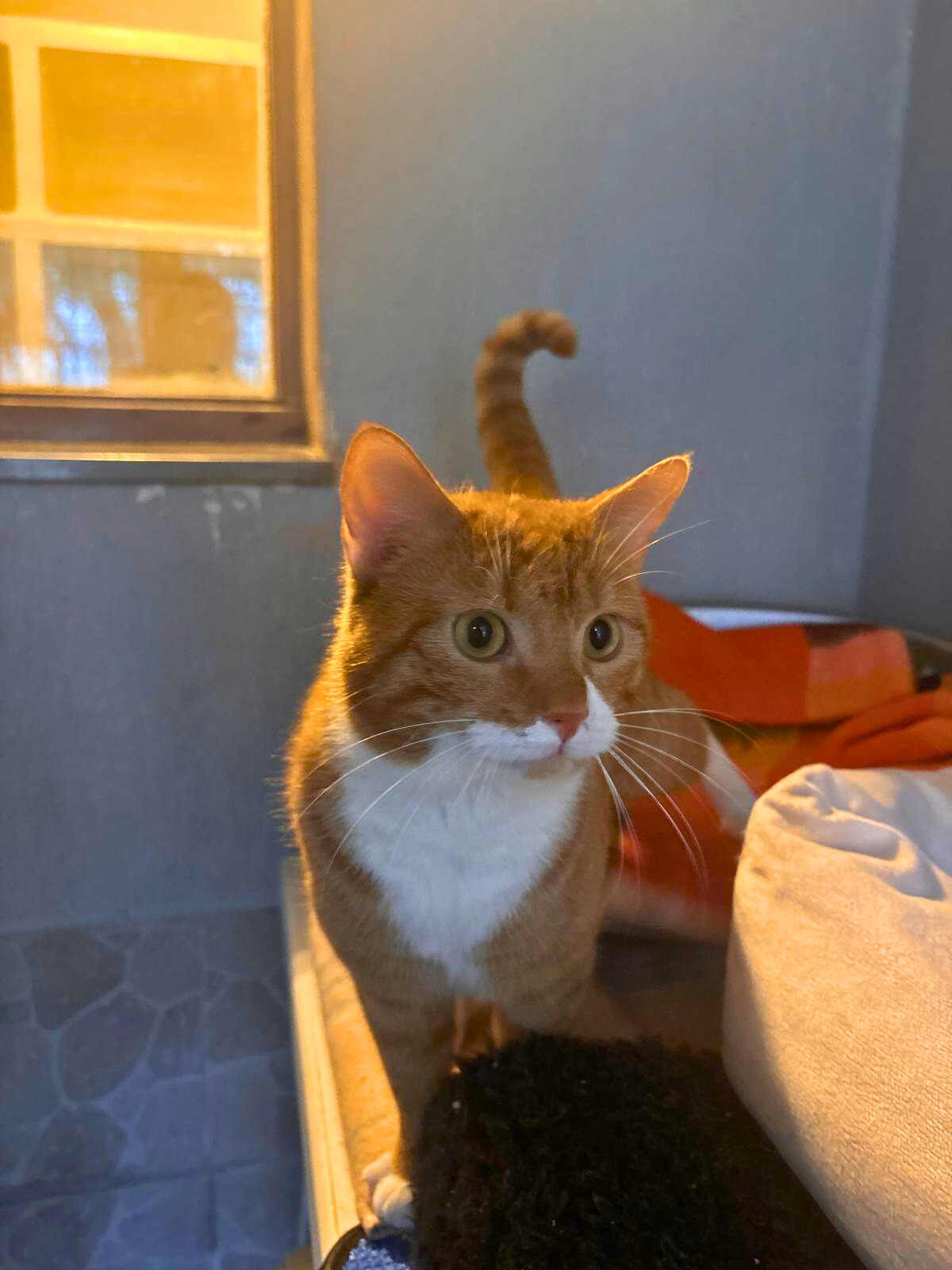 Roudoudou – Image 4