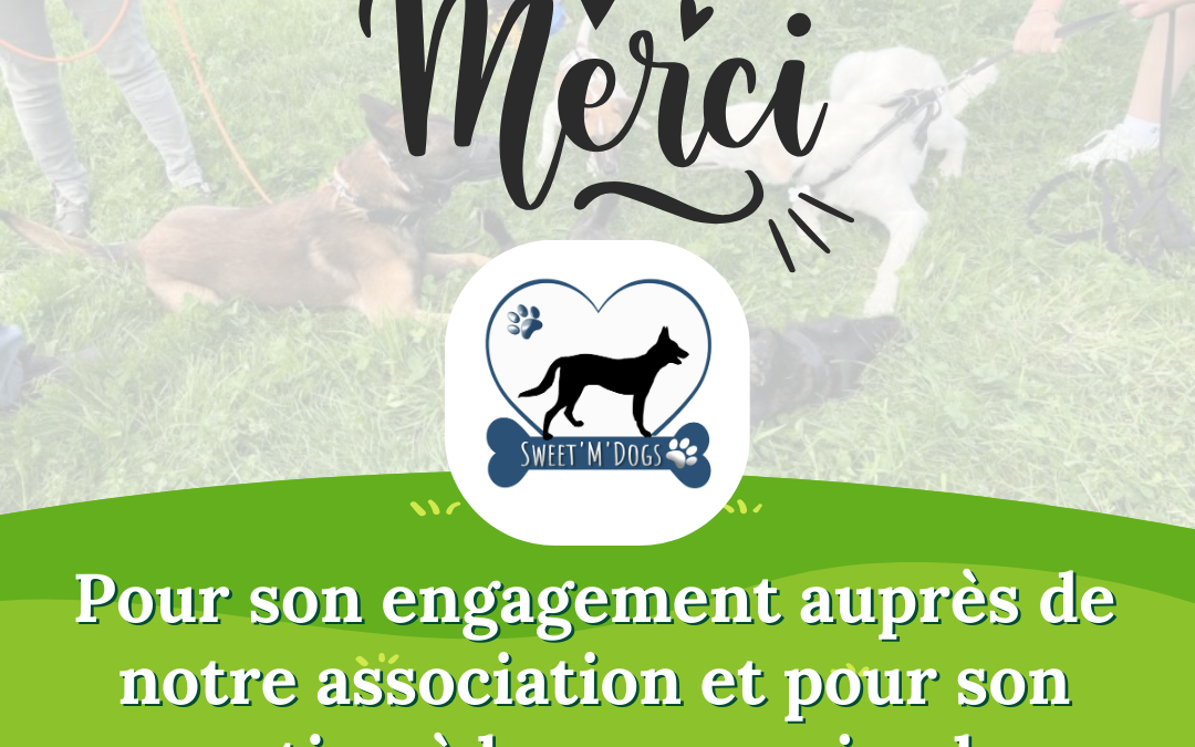 Sweet’M Dogs : accompagnement et éducation canine