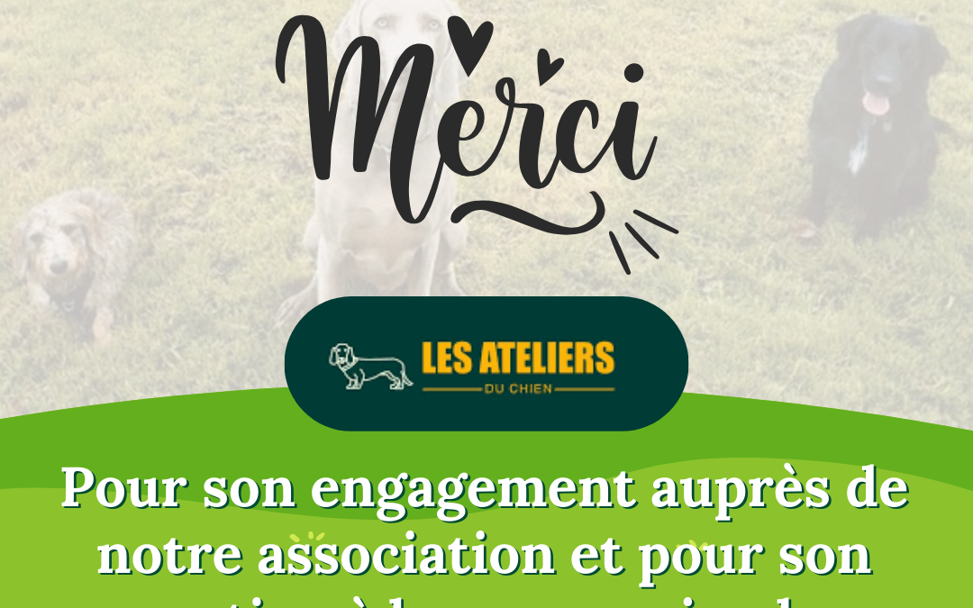 Les Ateliers du Chien : éducation et bien-être au service des chiens